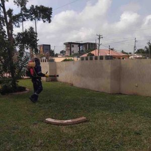 fence-wall-fumigation