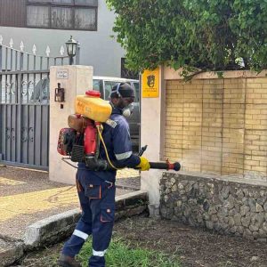 fumigation-fence-wall